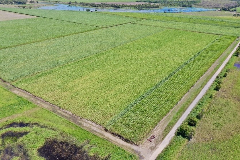 Click to view all images 403 Peggy Bog Road Airdmillan QLD 4807 - Image 3