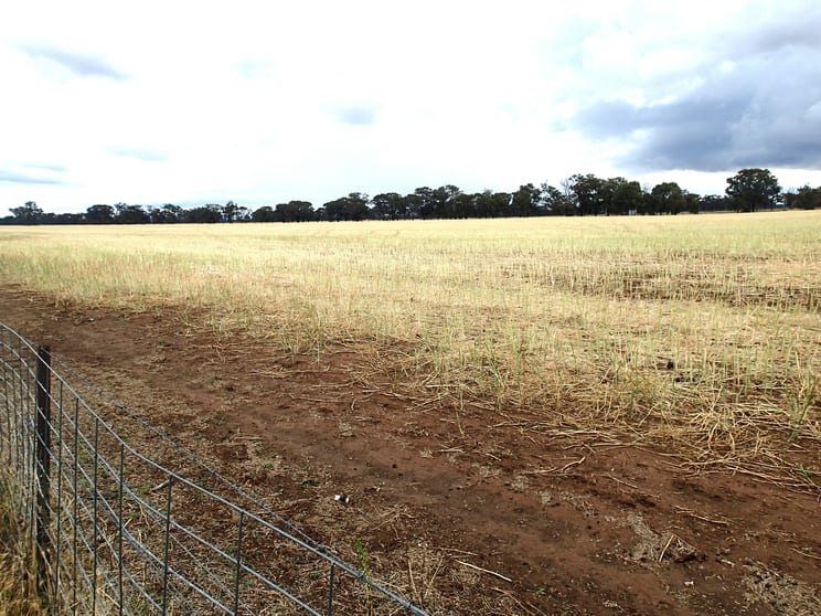 Lots 10 & 11 Clohesseys Road Norong VIC 3682 - Image 1