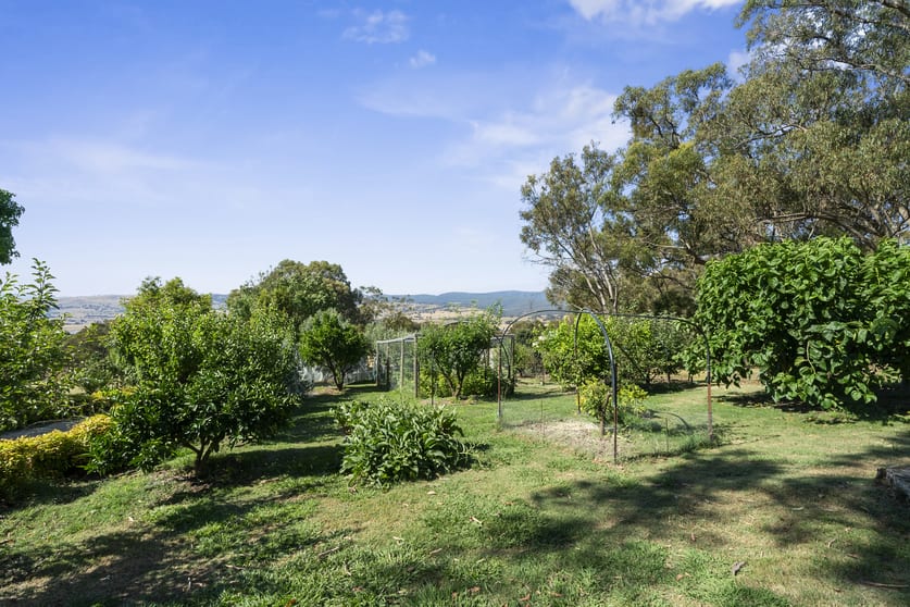 Click to view all images 243 Davies Road Merrijig VIC 3723 - Image 2