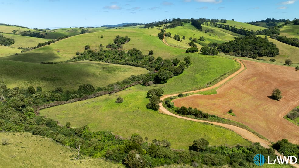 Click to view all images 507 Shephards Road Dorrigo NSW 2453 - Image 1
