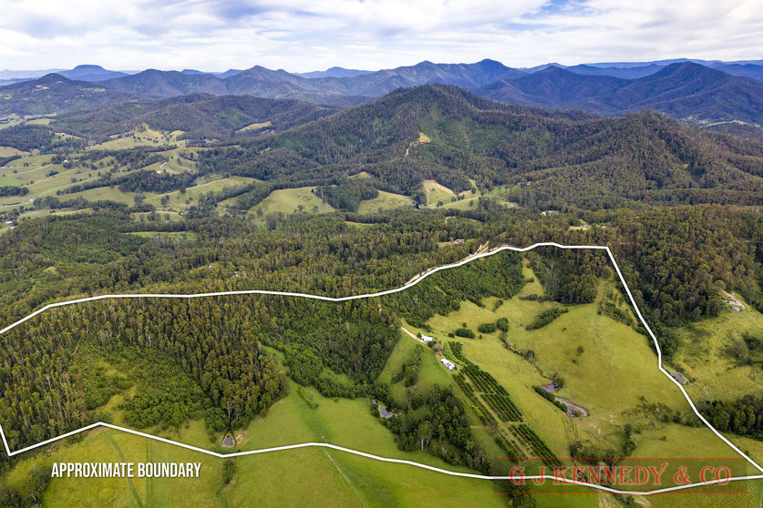 Click to view all images 344 Williams Hill Rd Talarm NSW 2447 - Image 1