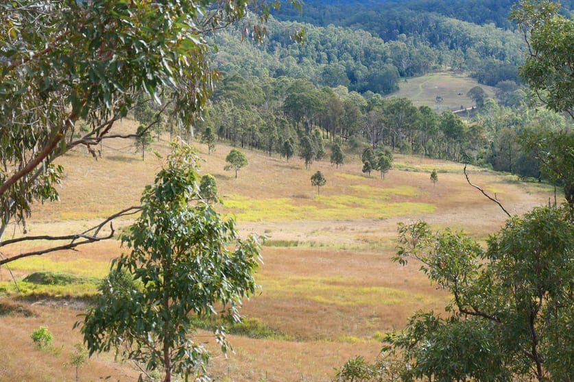 Click to view all images 11/ Rocky River Road Rocky River NSW 2372 - Image 1