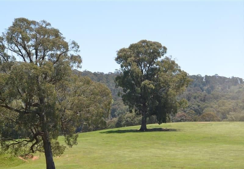Click to view all images 95 Bago Forest Road Tumbarumba NSW 2653 - Image 3
