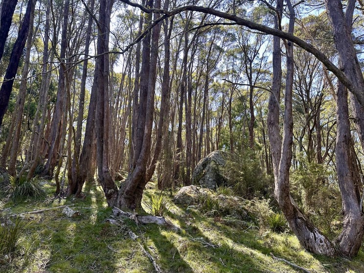 Click to view all images 124 Gumms Road Harolds Cross NSW 2622 - Image 1