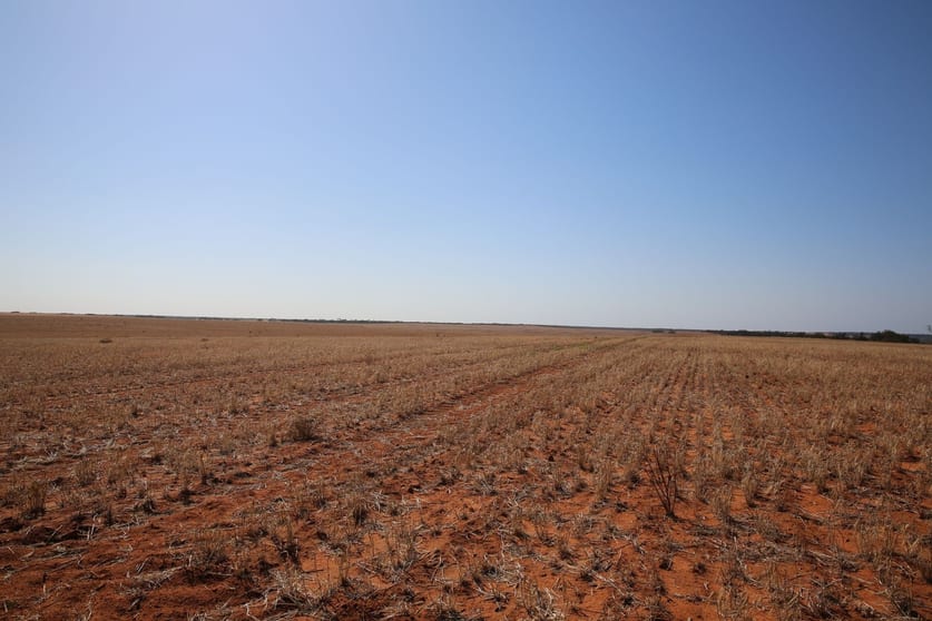 Click to view all images Monak NSW 2738 - Image 1