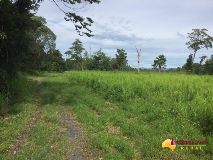 Click to view all images South Innisfail QLD 4860 - Image 3