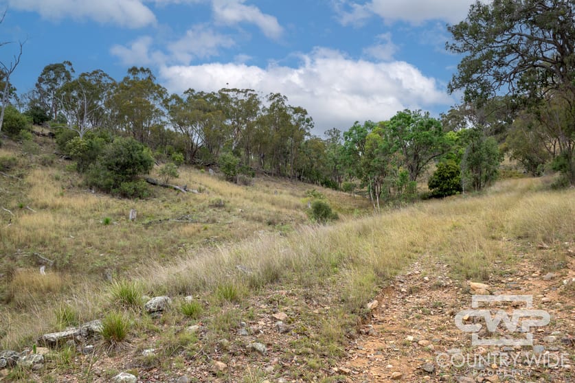 Click to view all images 72, 4108 Tent Hill Road Emmaville NSW 2371 - Image 3