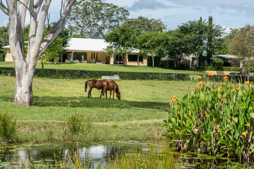 Click to view all images 92 Lancebark Road Glenlogan QLD 4280 - Image 2