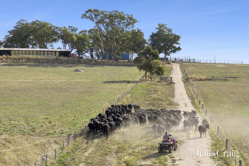 Click to view all images 284 Blackhill Road Kyneton VIC 3444 - Image 2