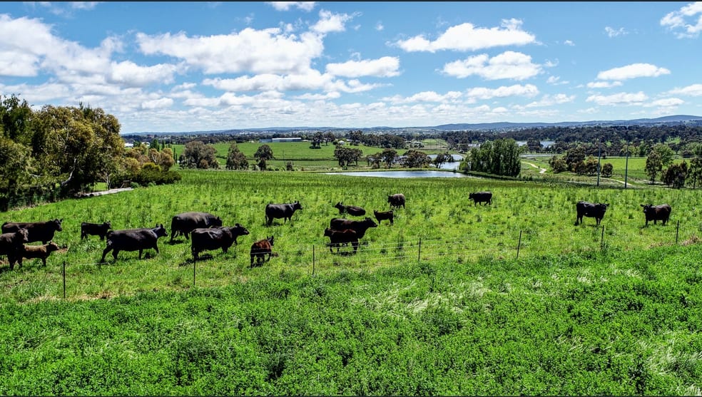 Click to view all images Parkwood East, 90 Hawke Lane Orange NSW 2800 - Image 3