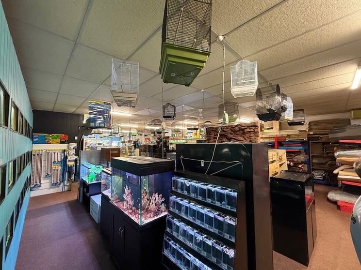 Click to view all images Animal Related business for sale in Tamworth - Image 3