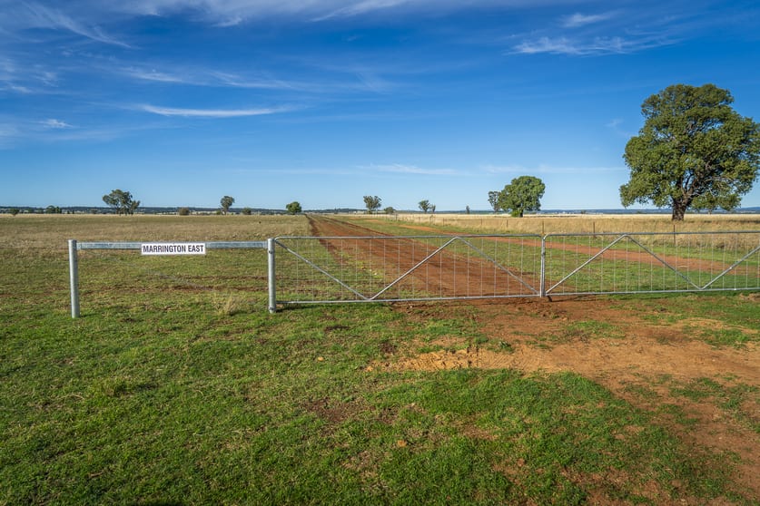 Click to view all images Marrington East 41R Mendooran Road Dubbo NSW 2830 - Image 3