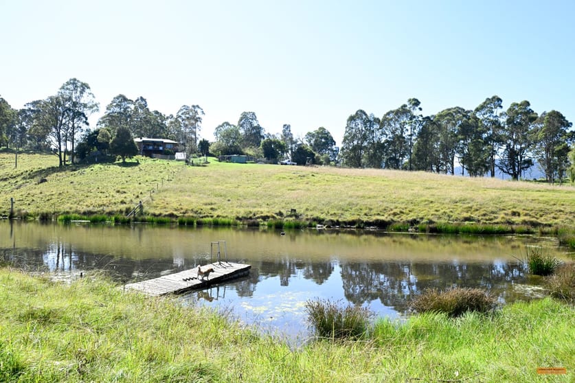 281 Myrtle Mountain Road Wyndham NSW 2550 - Image 2