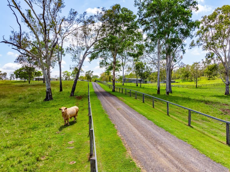 Click to view all images 8115 Mount Lindesay Highway Josephville QLD 4285 - Image 3