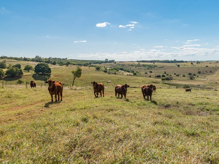 Click to view all images 286 Huxley Road North Isis QLD 4660 - Image 2