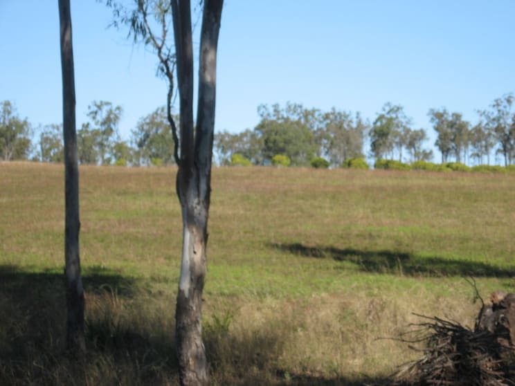 Click to view all images Gin Gin QLD 4671 - Image 3