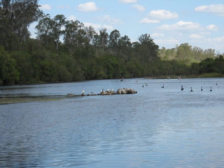 Click to view all images Wallaville QLD 4671 - Image 1