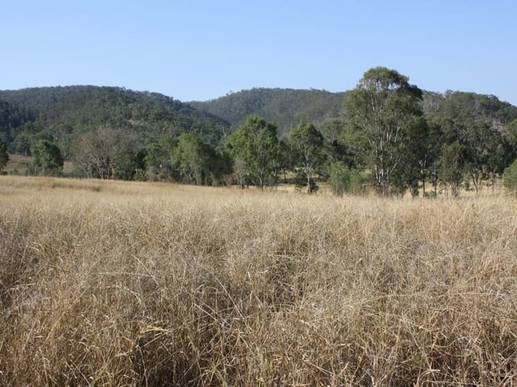 3237 Gin Gin Mount Perry Road Boolboonda QLD 4671 - Image 3