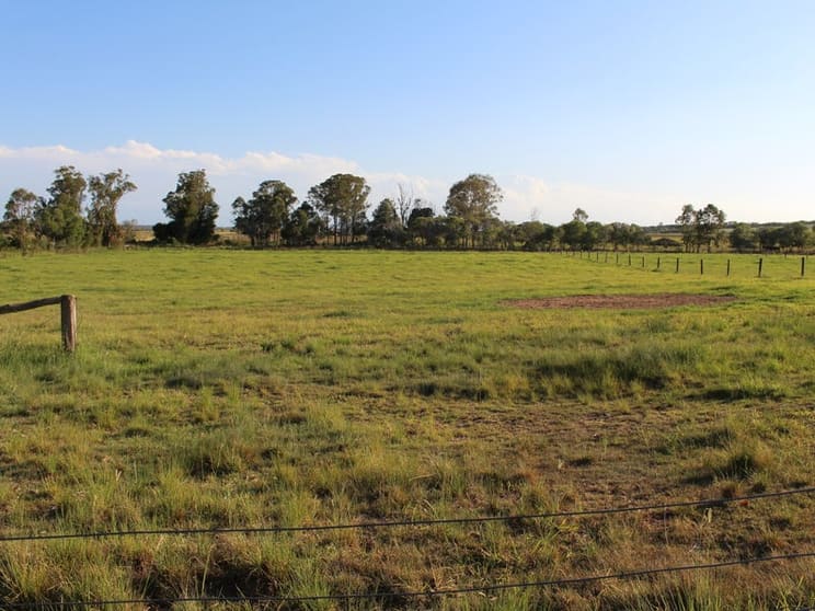 Click to view all images 224 Abbotsford Mountain Road Bucca QLD 4670 - Image 2