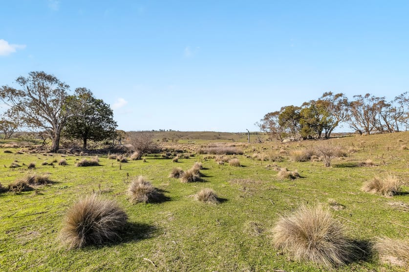 Click to view all images 1031 Cootralantra Road Cooma NSW 2630 - Image 3