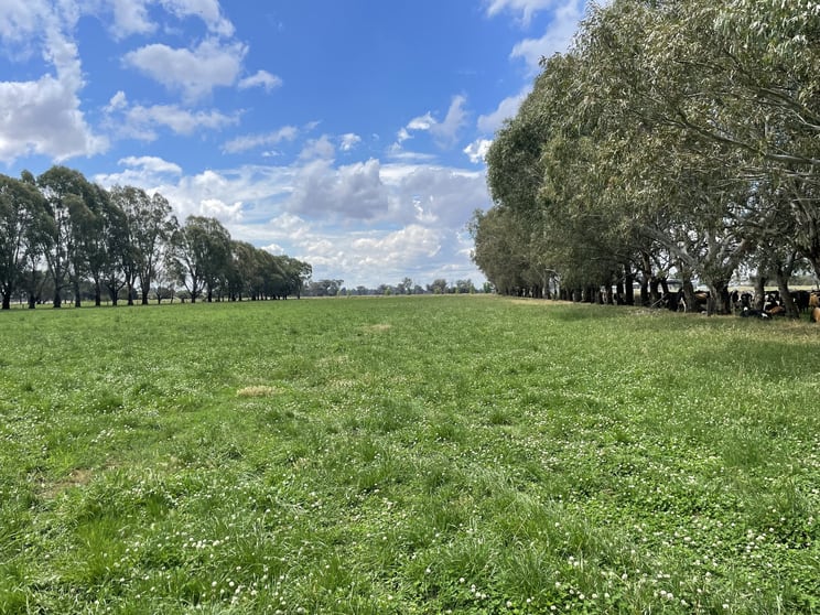Click to view all images 630 Morrissey Road Girgarre VIC 3624 - Image 2