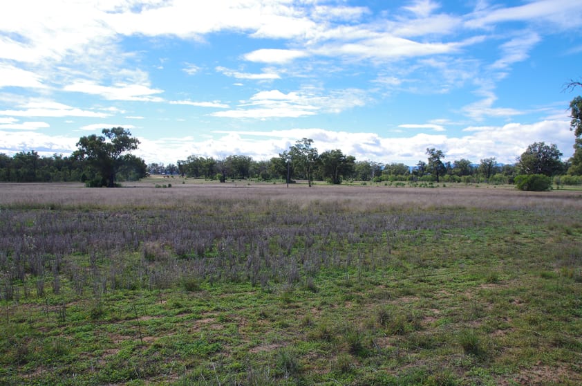 Click to view all images 293 Highfield Lane Narrabri NSW 2390 - Image 3