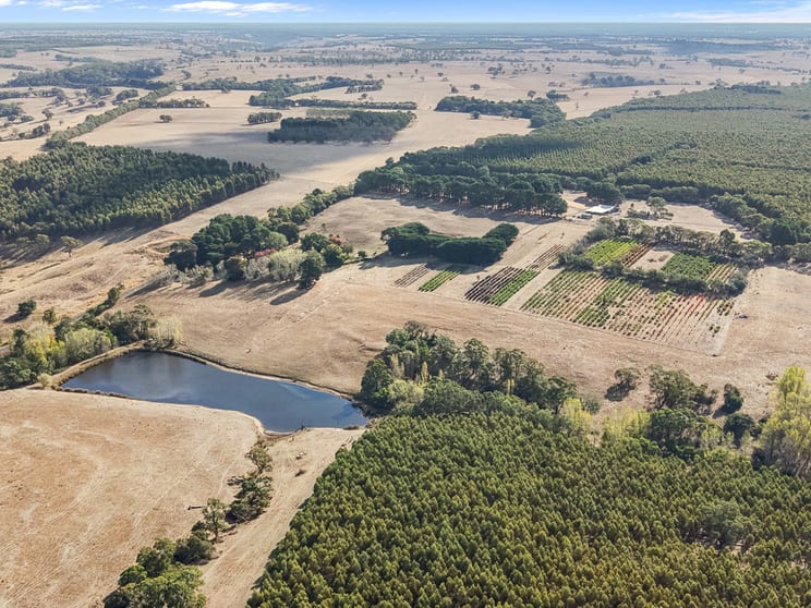 Click to view all images 1284 Nareen Road Nareen VIC 3315 - Image 2