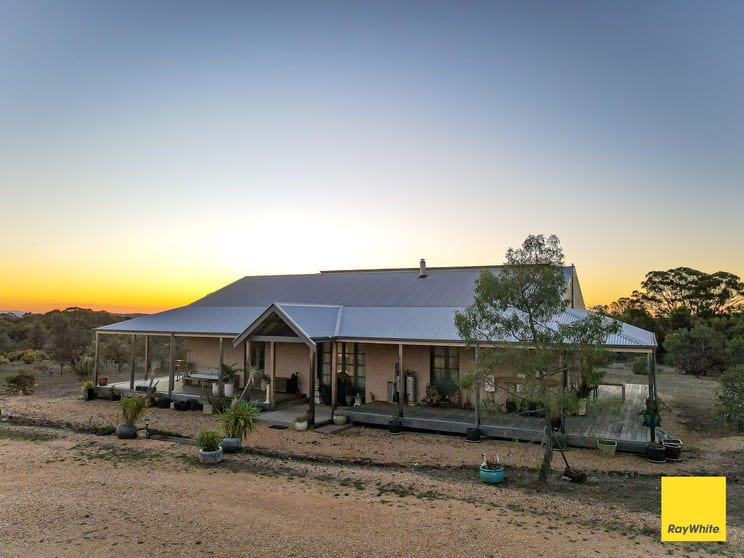 Click to view all images 518 Mount Back Road Tarrengower VIC 3463 - Image 2