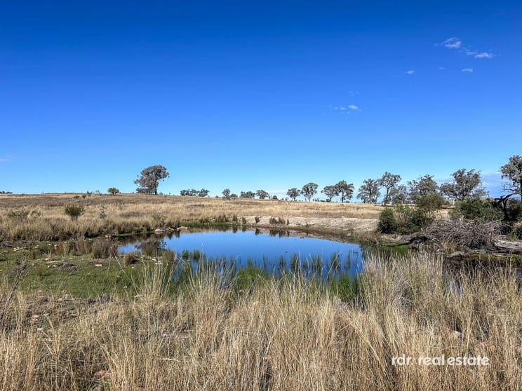 Lot 74 Wells Crossing Road Ashford NSW 2361 - Image 2