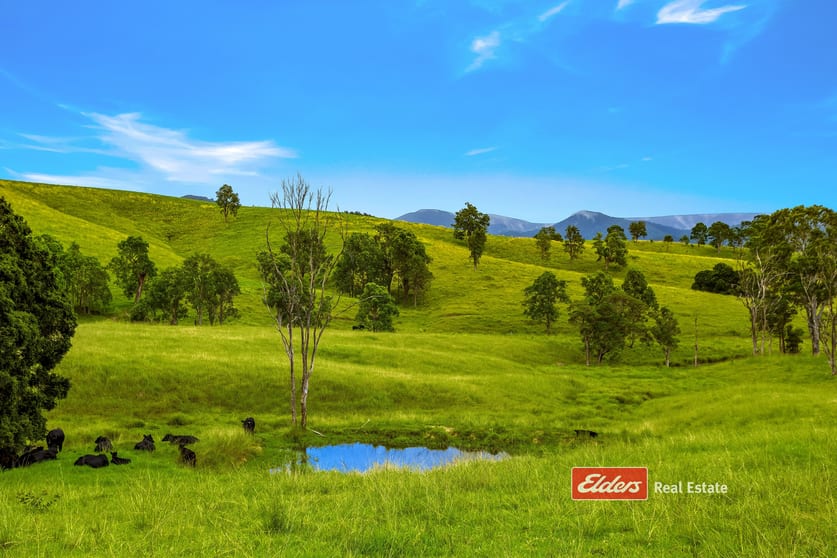 Click to view all images 2121 Salisbury Road, Salisbury via Dungog NSW 2420 - Image 1