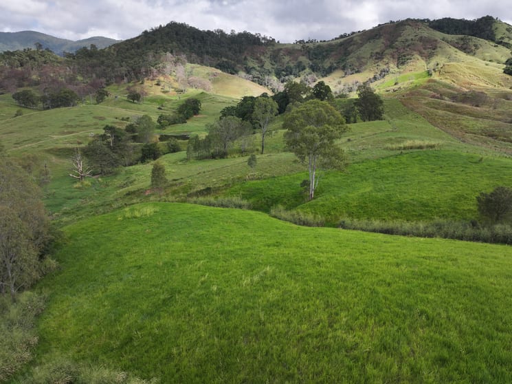 258 Holds Road Yalboroo QLD 4741 - Image 2