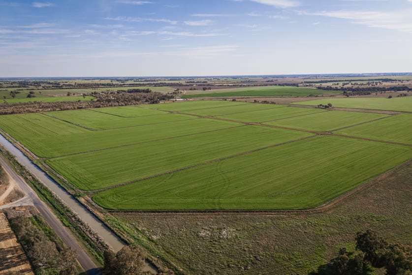 261 Campbells Road Deniliquin NSW 2710 - Image 1