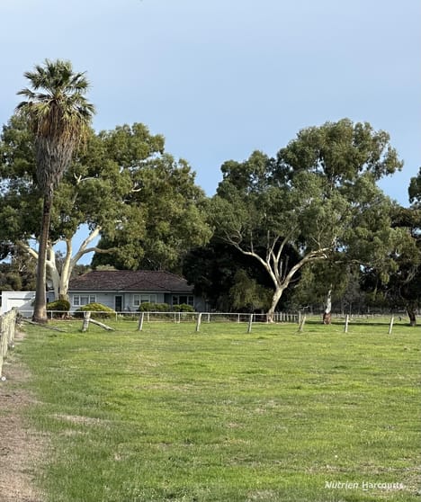 Click to view all images 795 Boyanup-Picton Road Crooked Brook WA 6236 - Image 1