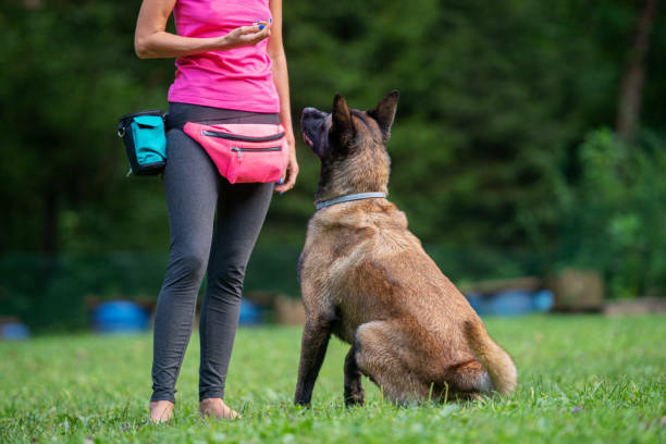 Click to view all images Animal Related business for sale in Melbourne - Image 1