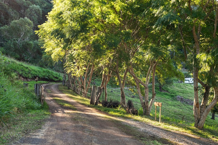 Click to view all images 52 Curtis Road Canungra QLD 4275 - Image 2
