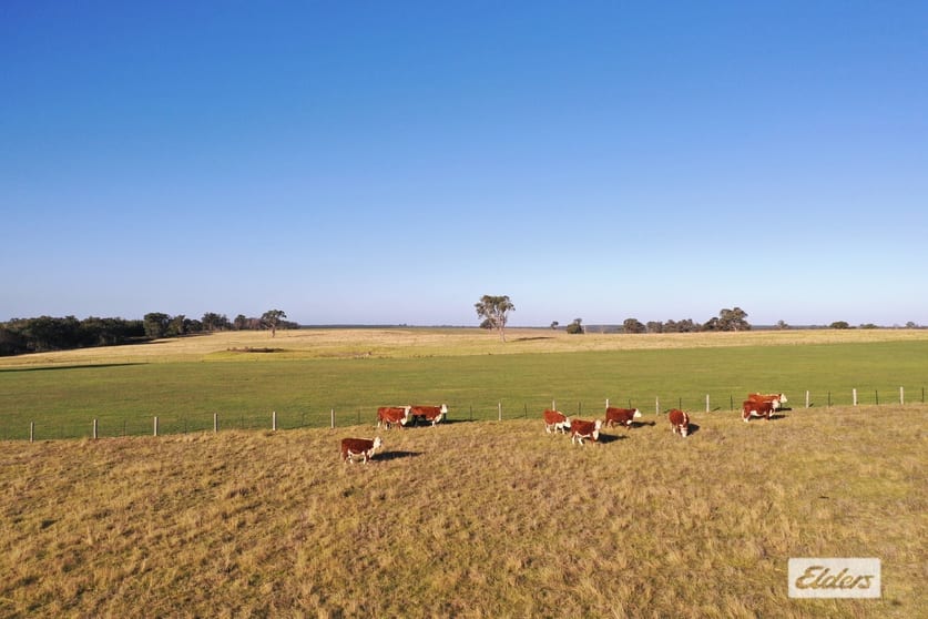 322 Stockdale - Fernbank Road Stockdale VIC 3862 - Image 1
