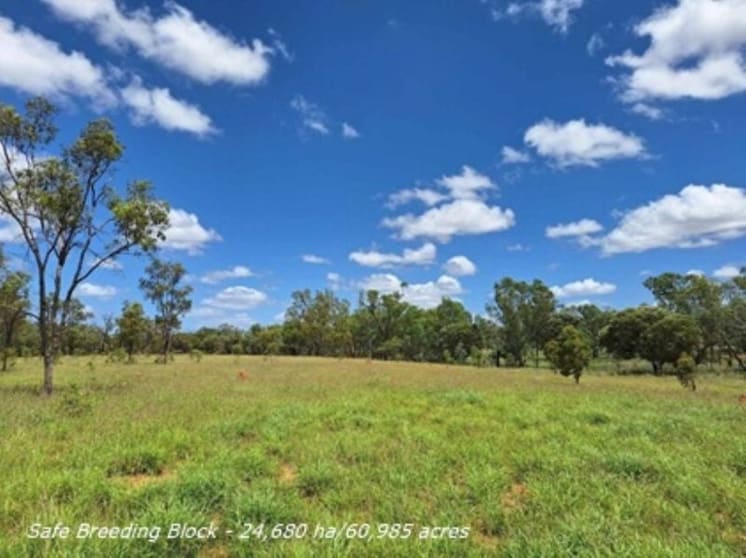 Click to view all images 6743 Dunrobin Road Jericho QLD 4728 - Image 1