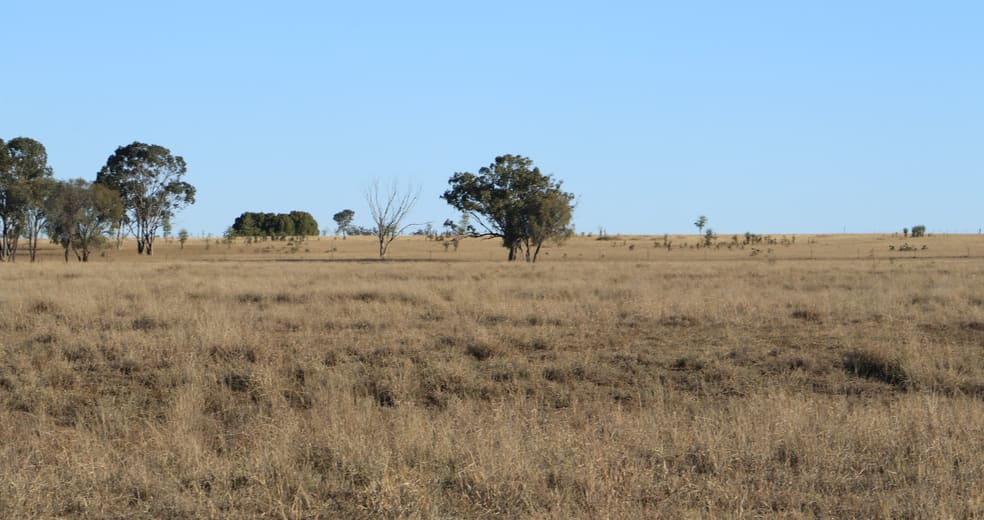 Click to view all images 47 EUTHULLA ROAD Roma QLD 4455 - Image 1