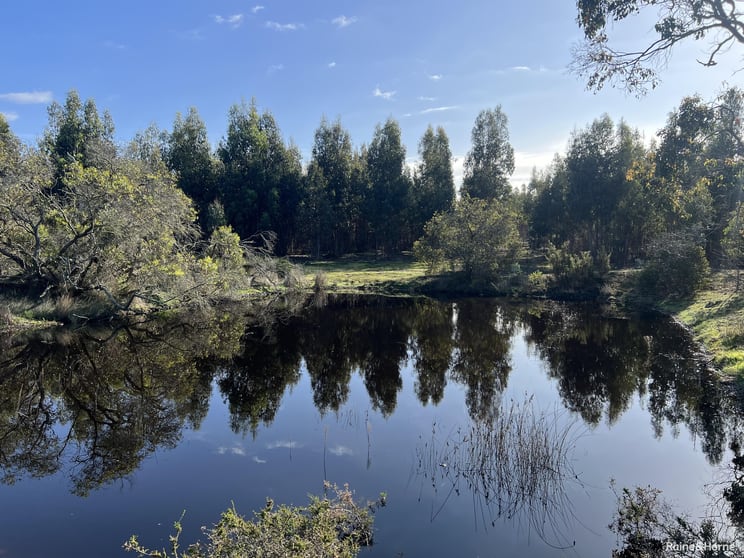 Click to view all images Lot 5809 Takenup Road Napier WA 6330 - Image 1