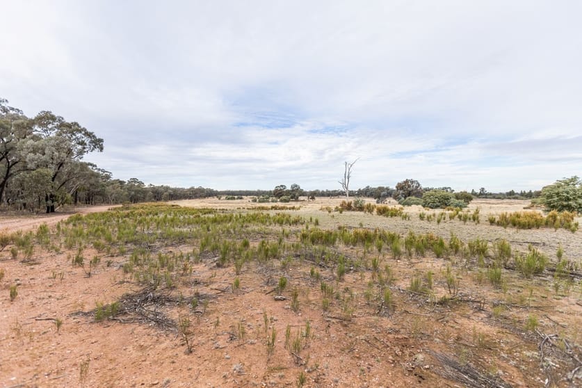 Click to view all images 'Keystone' 39 Williams Road Mimosa NSW 2666 - Image 2
