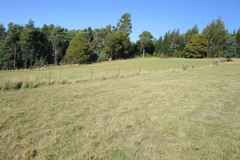 Click to view all images 1951 Wilmot Road Lower Wilmot TAS 7310 - Image 3