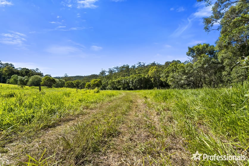 206 Clinton Road Cawarral QLD 4702 - Image 3