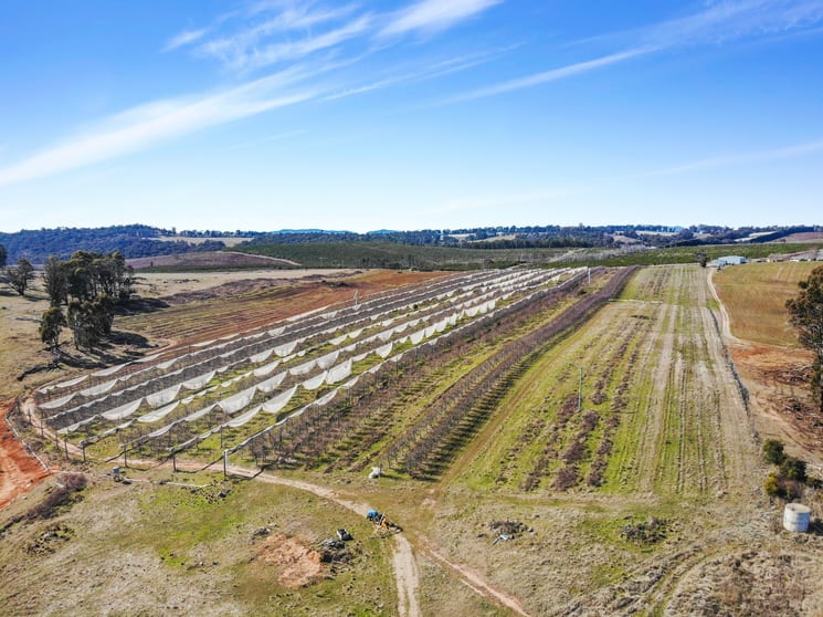 Click to view all images 258 Lower Bago Road Batlow NSW 2730 - Image 2