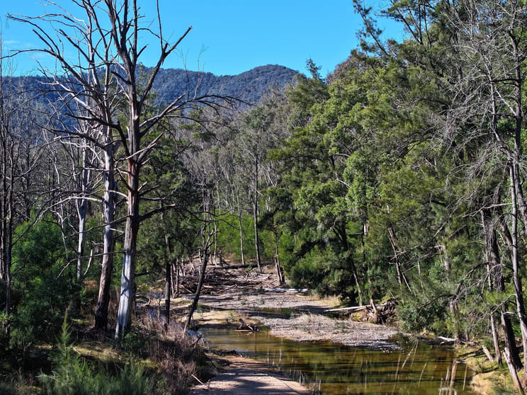 Click to view all images Lot 4 Araluen Road Araluen NSW 2622 - Image 2