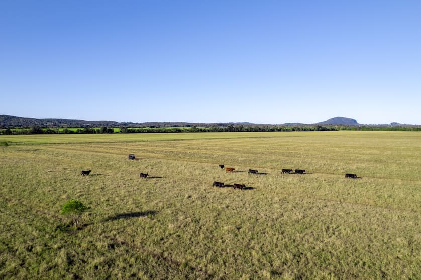 Click to view all images Valdora QLD 4561 - Image 3