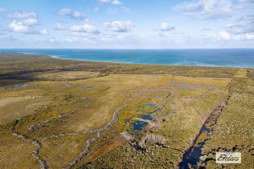 Sea Elephant Road Sea Elephant TAS 7256 - Image 3