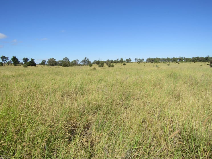 1350 Baralaba Rannes Road Kokotungo QLD 4702 - Image 3