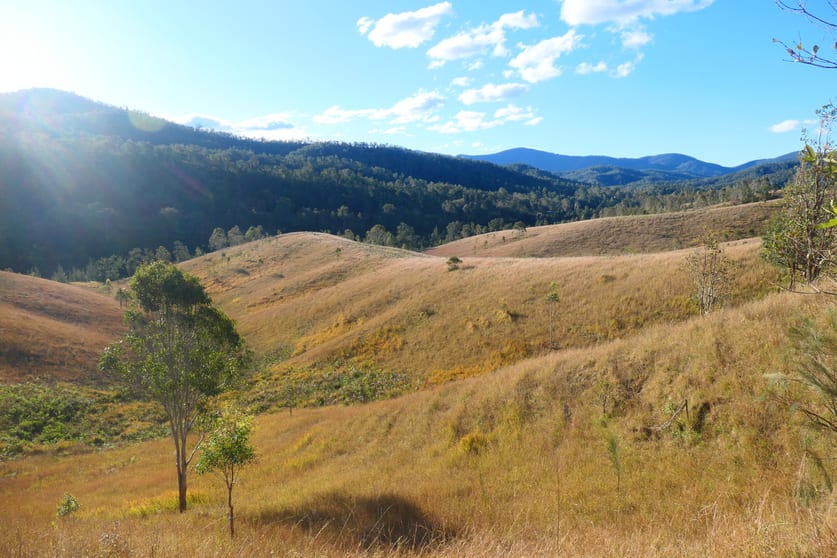 Click to view all images 12/3276 Rocky River Road Rocky River NSW 2372 - Image 3