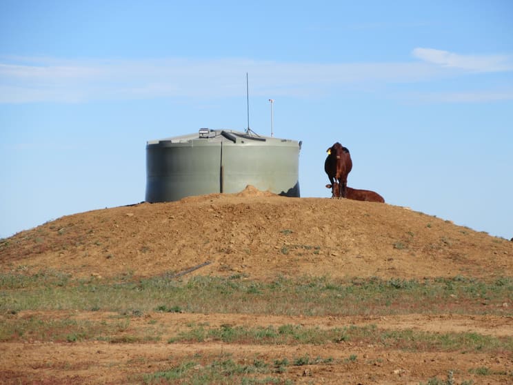 715 Royston Lane Longreach QLD 4730 - Image 3