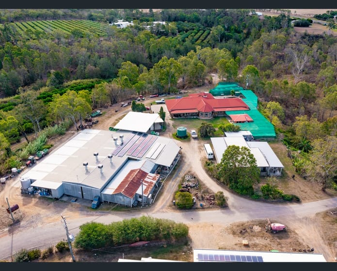 22 LEONARDI ROAD Mareeba QLD 4880 - Image 3